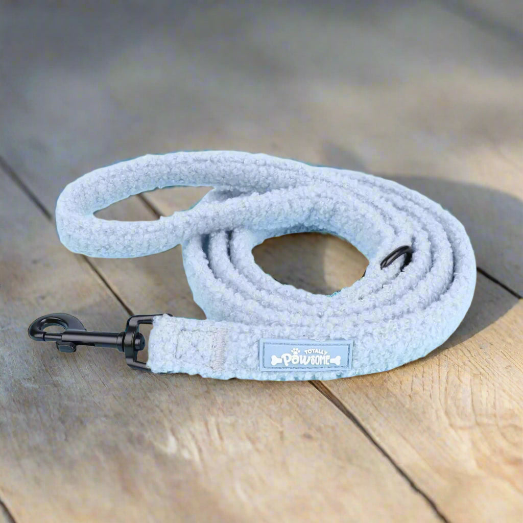 Blue Teddy Padded Dog Lead