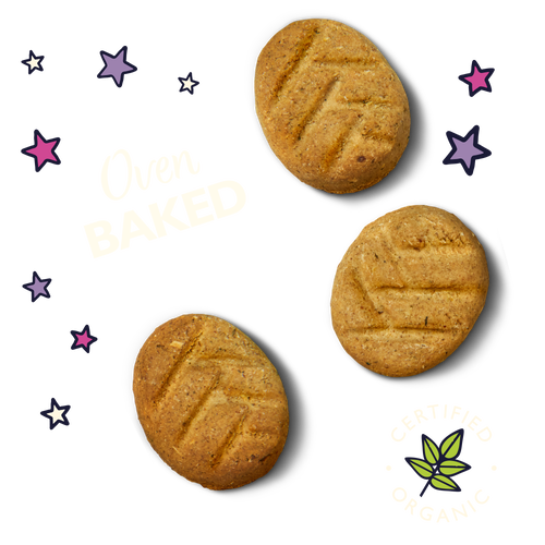 Lily's Kitchen Dog Bedtime Treats