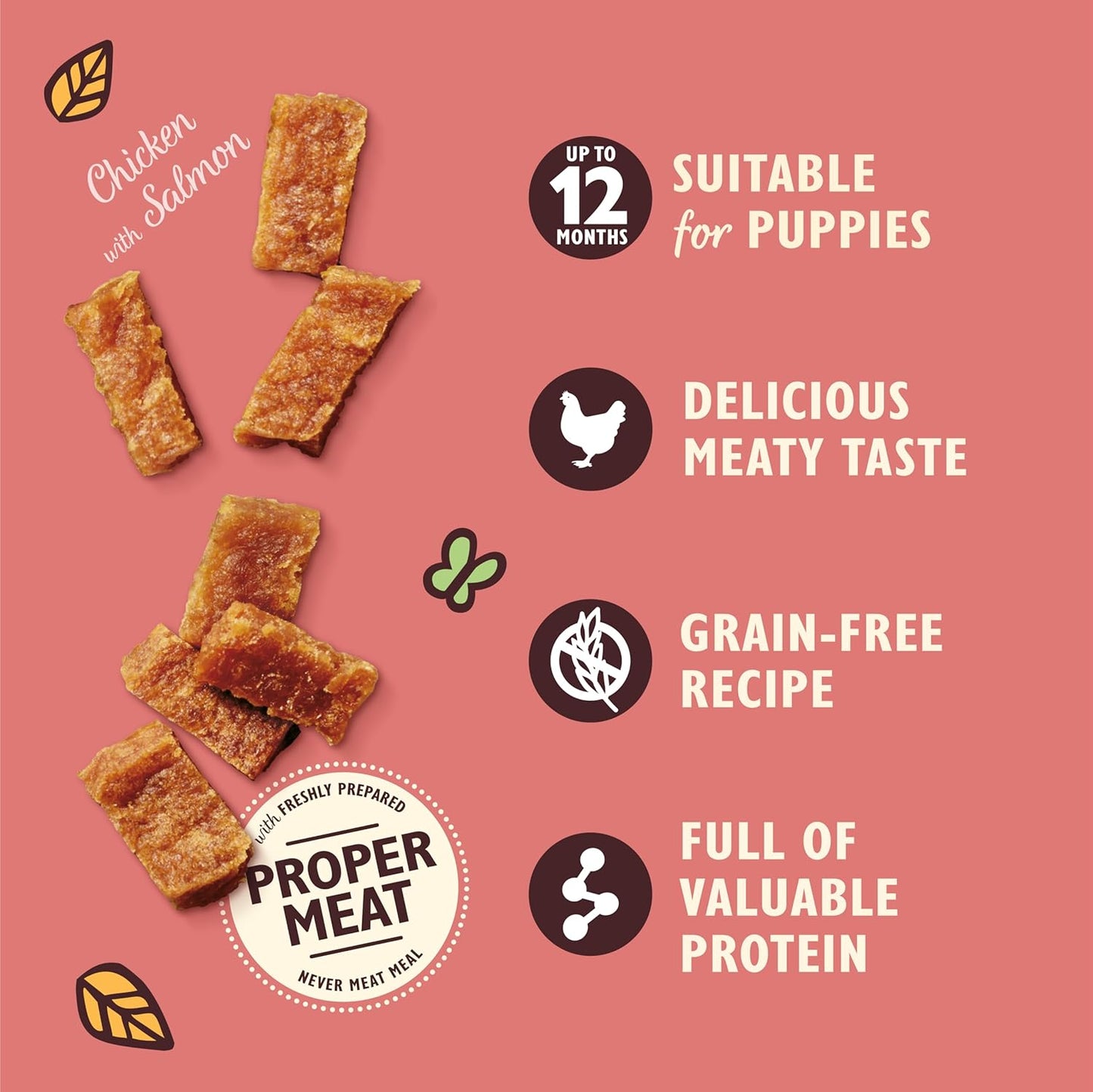 Lily's Kitchen Puppy Chicken & Salmon