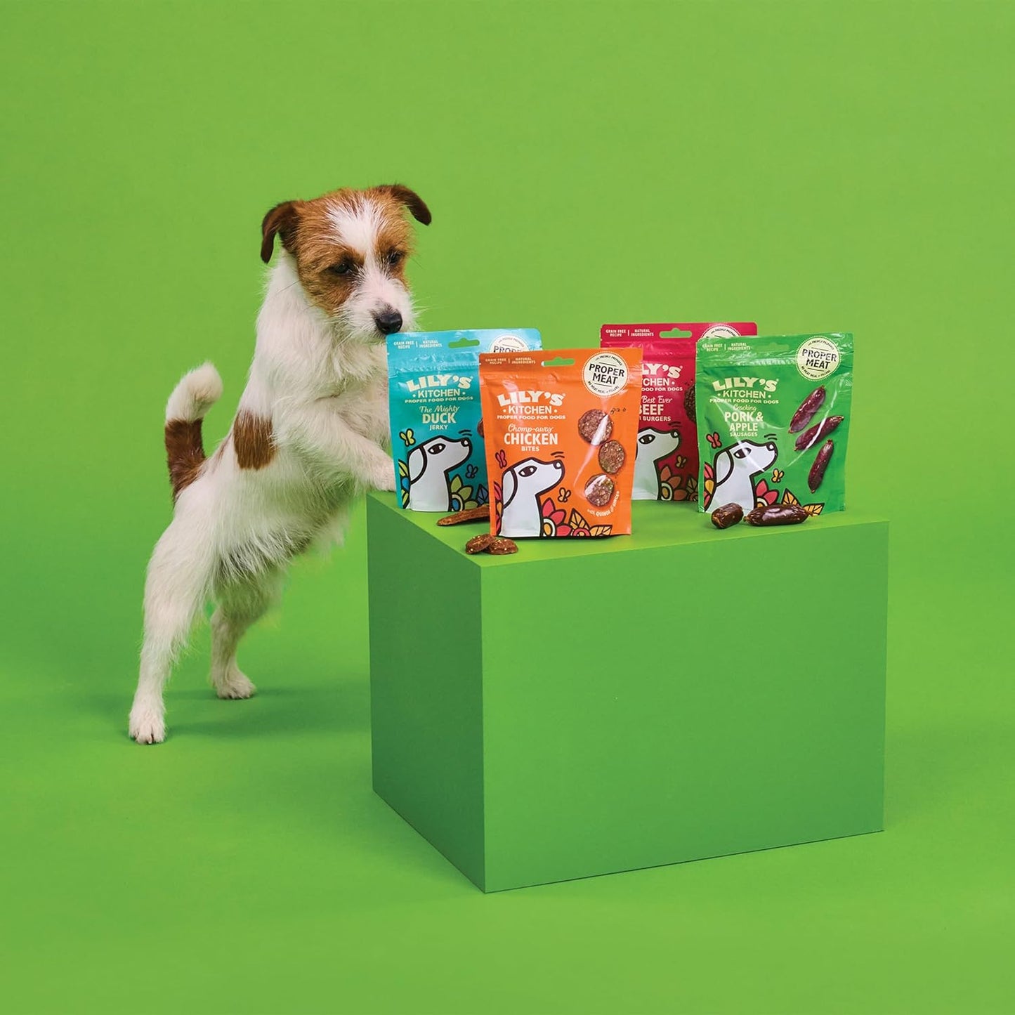 Lily's Kitchen Gimme Five Training Treats with Cheese & Apple