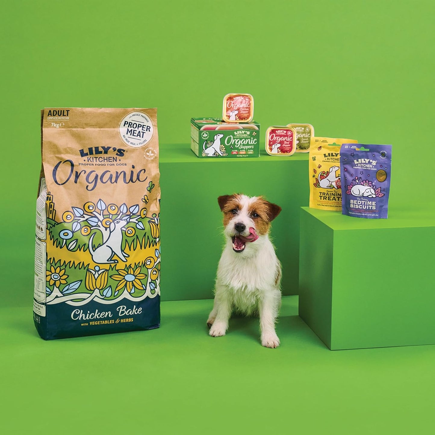 Lily's Kitchen Dog Bedtime Treats