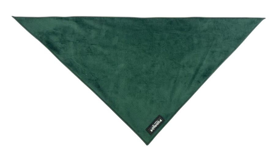Green Velvet Bandana