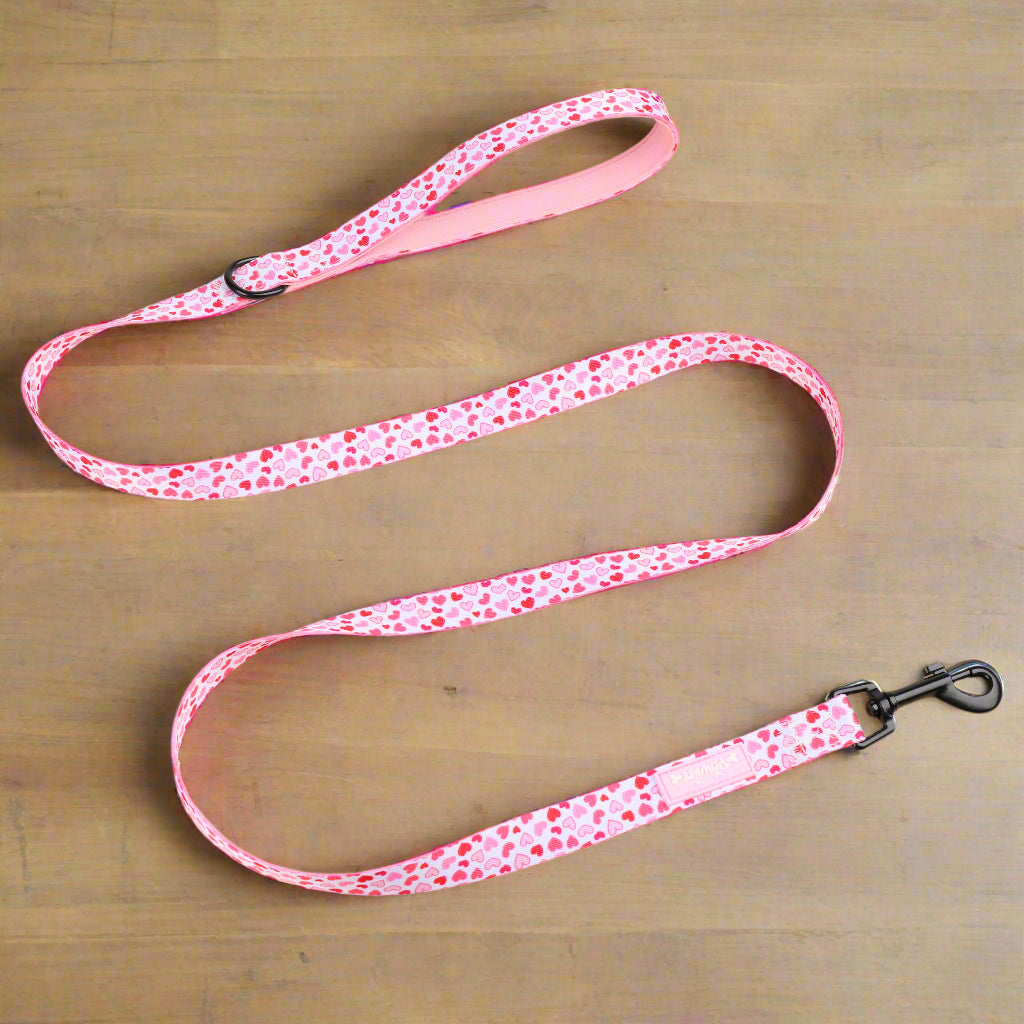 Pink Hearts Long dog lead