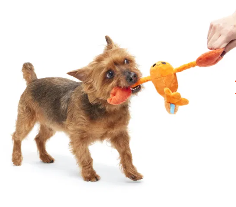 Bark Toys - Pollen Nate Dog Toy