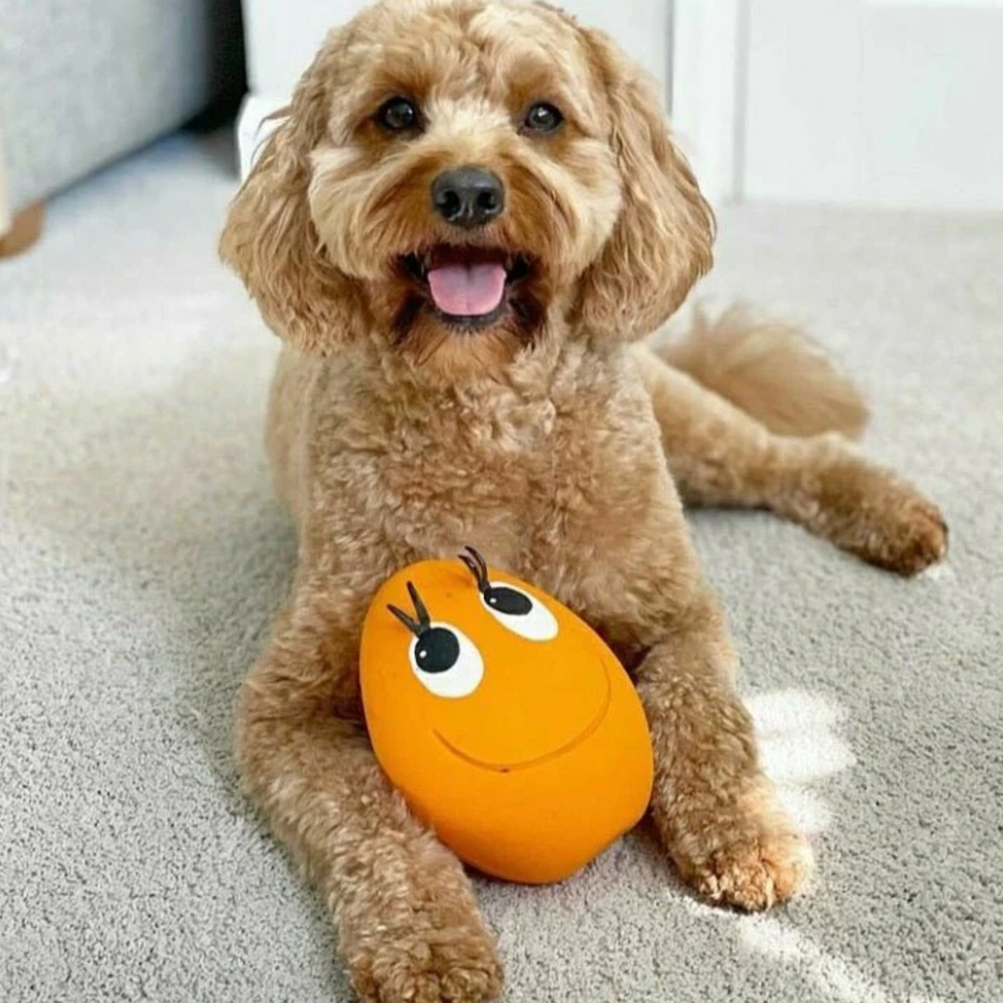 OVO XXL Orange Egg - Dog Toy