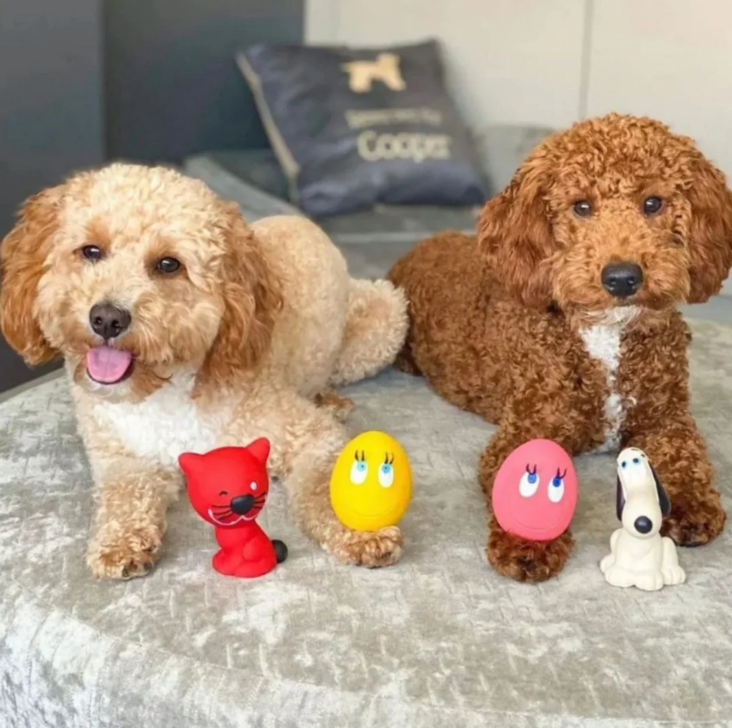 OVO Pet 4 Set - 2 OVO eggs, Cat & Dog