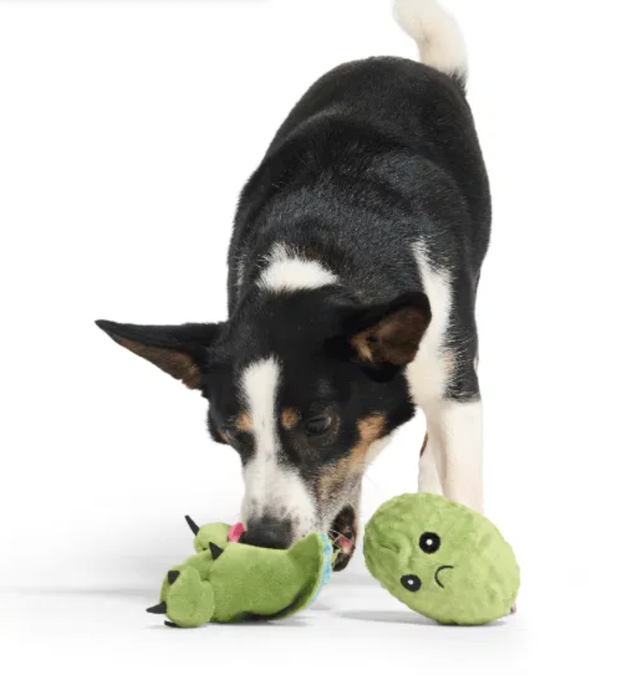 Bark Toys - Pollen Nate Dog Toy