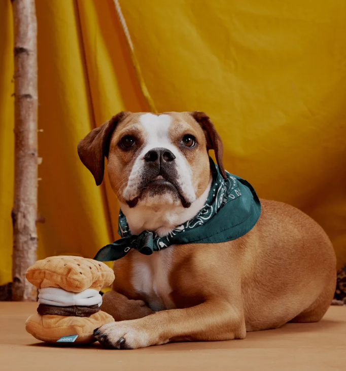 Bark Toys - More S'Mores Dog Toy