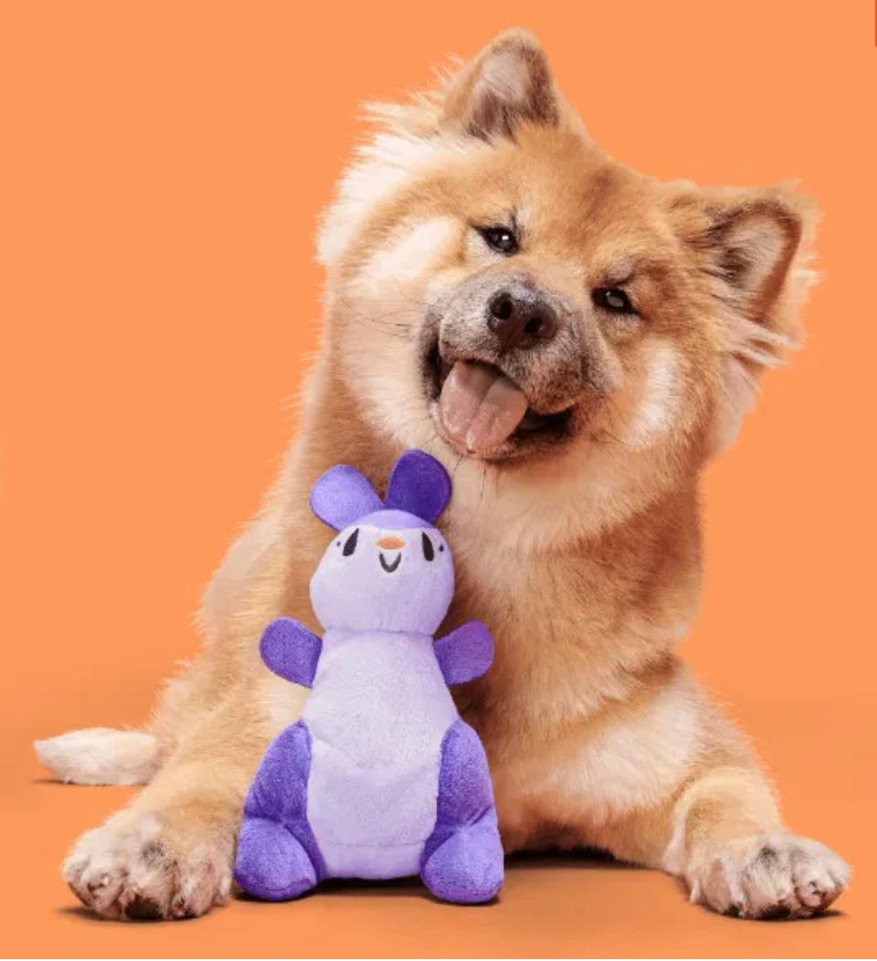 Bark Toys - Bark Topanga Kanga Dog Toy