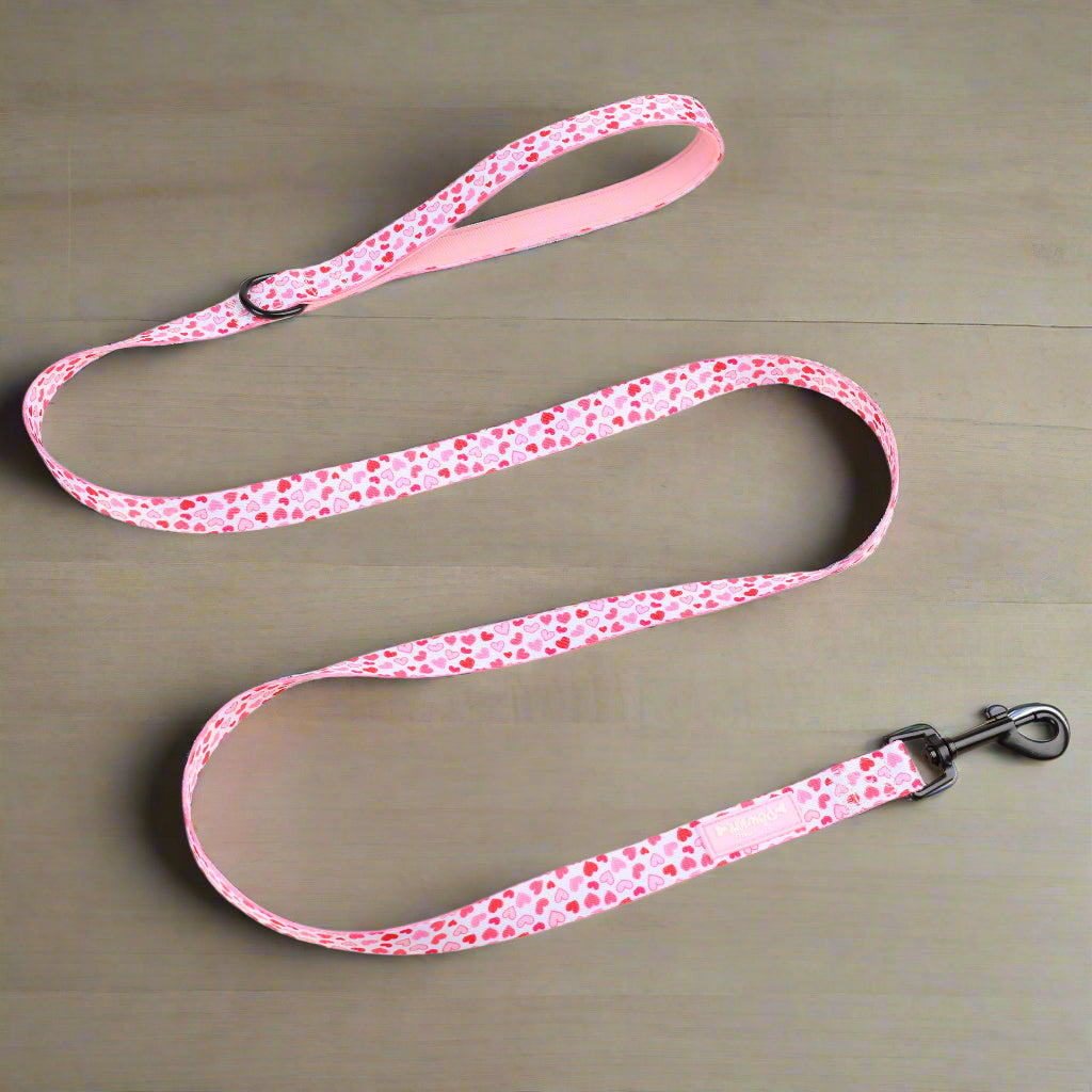 Valentines dog lead