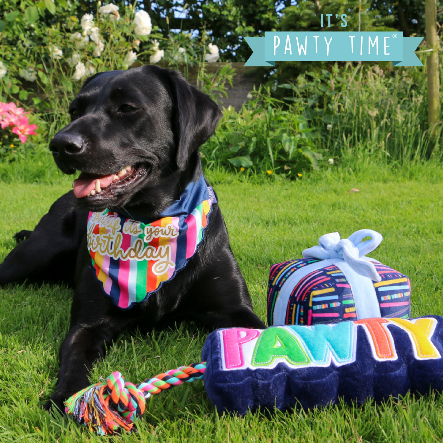 Bark if it's your Birthday Pup Bandana