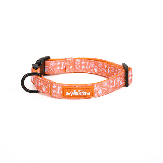Sunburst Paws - TP Adventures Dog Collar