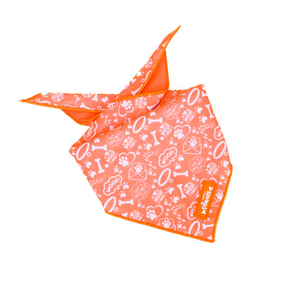 Sunburst Paws - TP Adventures Dog Bandana