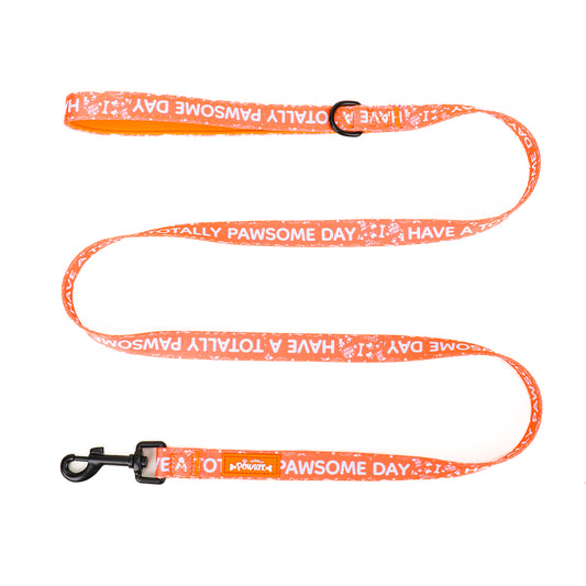 Sunburst Paws - TP Adventures Dog Lead