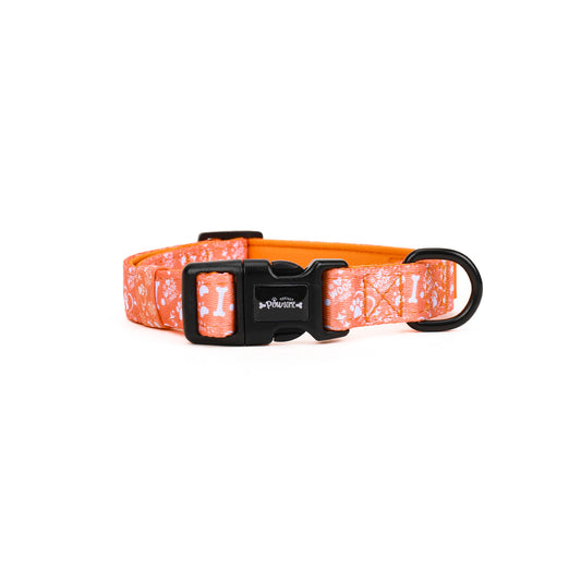Sunburst Paws - TP Adventures Dog Collar