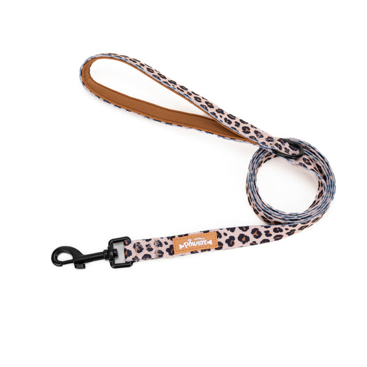 Wild Pups - 4 Piece Bundle - Harness, Collar, Lead & Poop Bag Holder