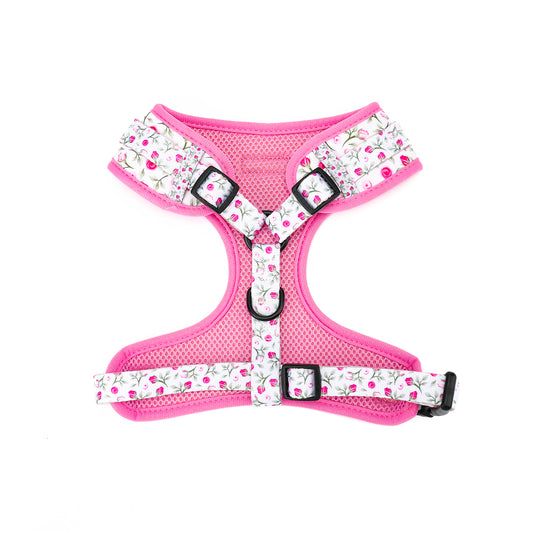Rose Garden Harness