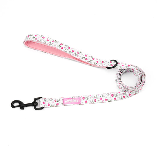 Rose Garden Lead
