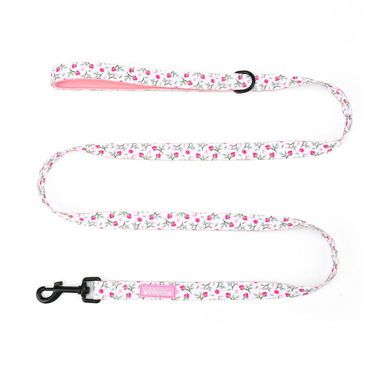 Rose Garden Lead