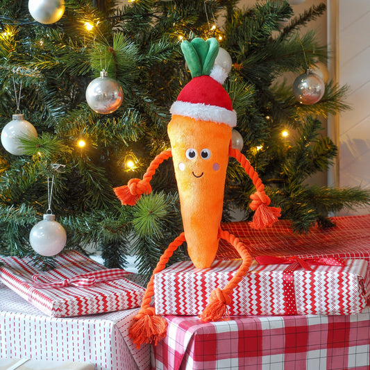 Santa Carrot Rope Legs