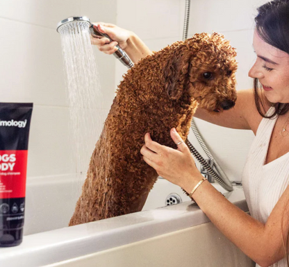 Animology Dogs Body Shampoo