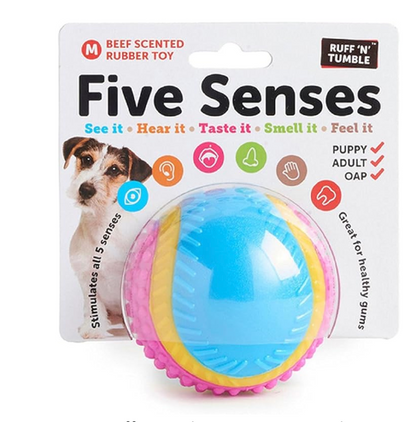Beef Rubber Ball - Dog Toy with packaging and dog