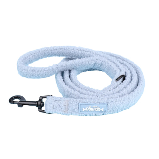 Blue Teddy Long dog Leash