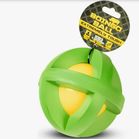 Boingo Ball for dogs - green