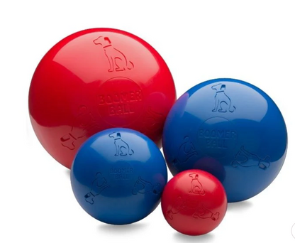 Boomer ball for dogs - Multiple colours