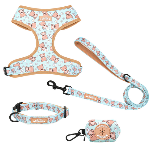 Buddy Bear - 4 Piece Bundle - Harness, Collar, Lead & Poop Bag Holder