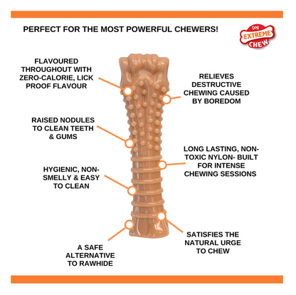 nylabone Bacon XL Bone