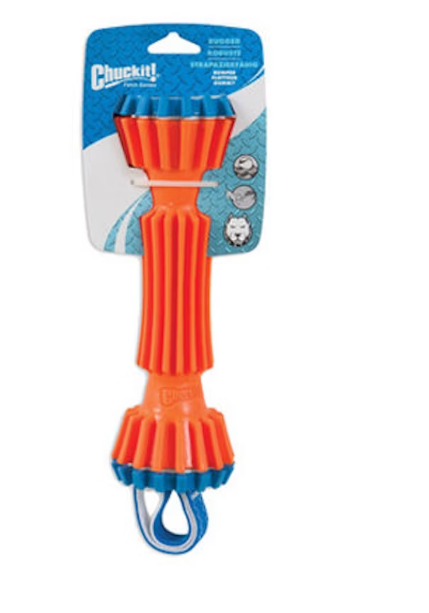 Chuckit bumper dog toy