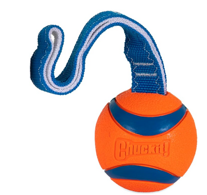 Chuckit Ultra tug toy