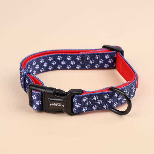 Classy Navy Paws Collar