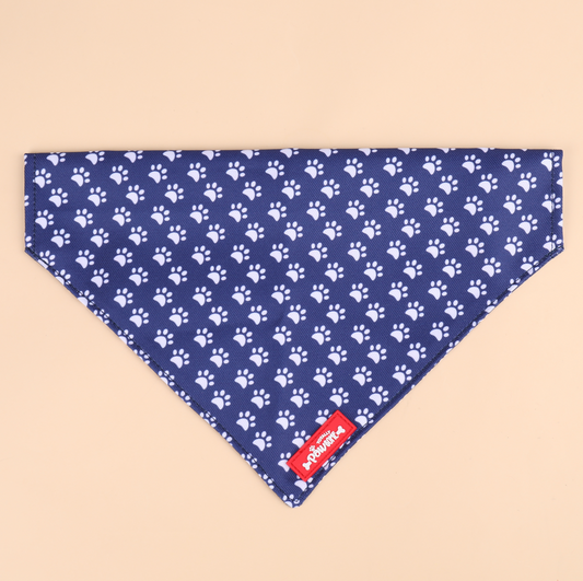 dog bandana - classy paws