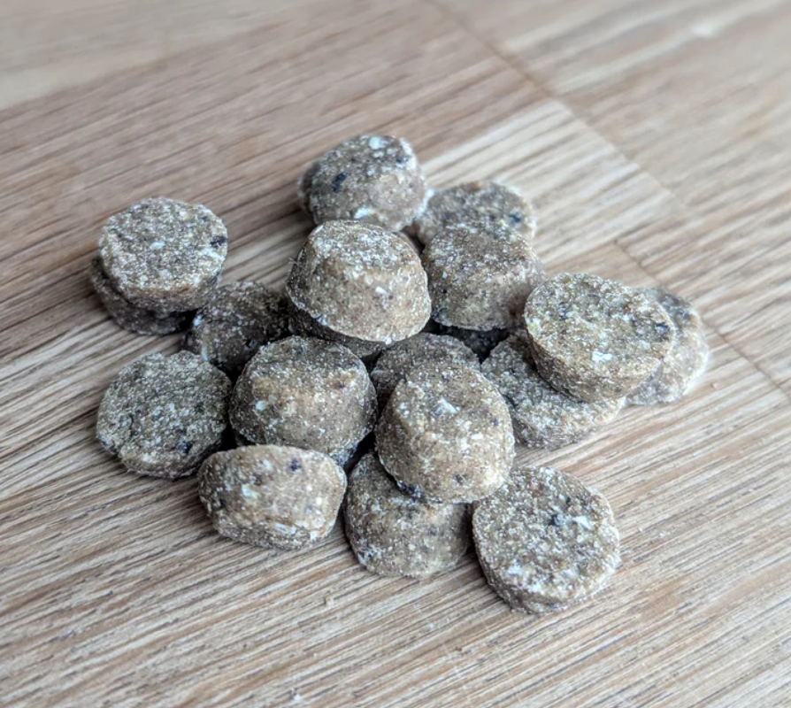 Denzels Puppy Training Bites
