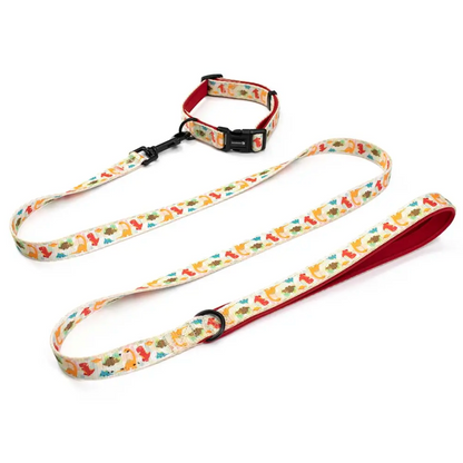 DinoPaws Collar & Lead Bundle