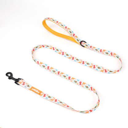 dinopaws dog long leash