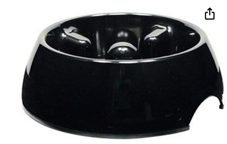 Dog It - Go Slow - Large Bowl