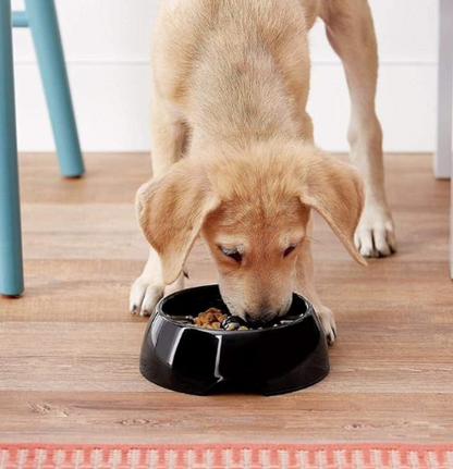 Dog It - Go Slow - Large Bowl with dog