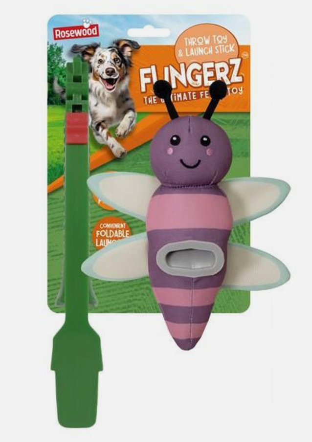 DragonFly Dog Toy