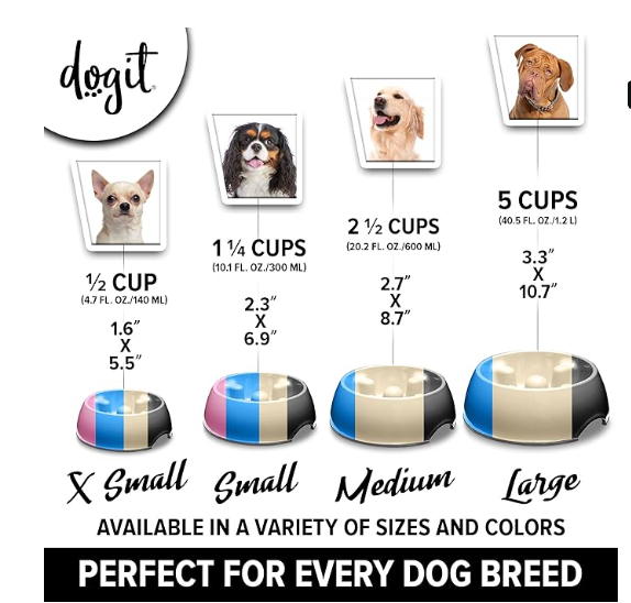 Go Slow feeding bowl - feeding size