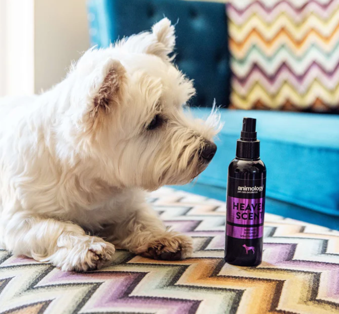 Heaven Scent Dog Spray for Dogs & Puppies