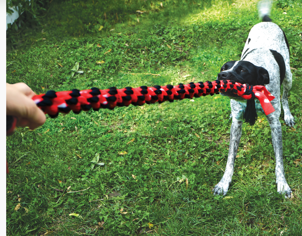 Kong Signature Rope Toy