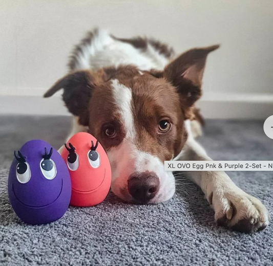 large OVO egg with dog