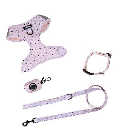 Dog harness, leash, and collar set with Leopard pattern on a white background