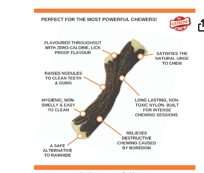 nylabone for dogs