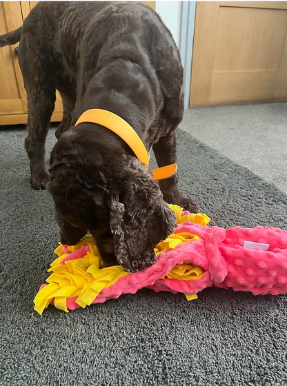 OctopusSnuffleMatDogs