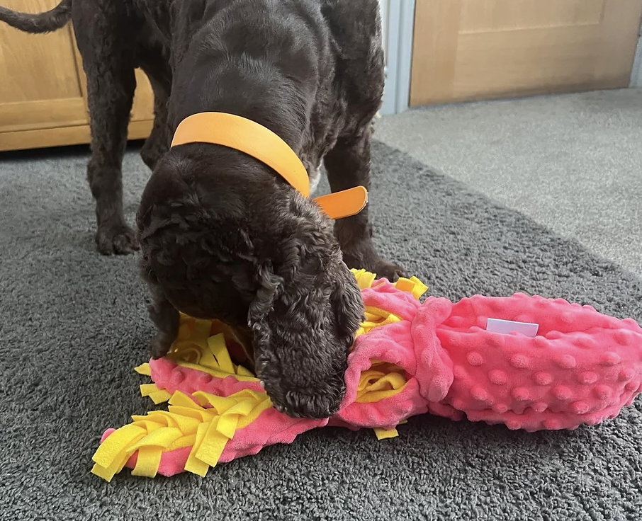 OctopusSnuffleMatDogtoys