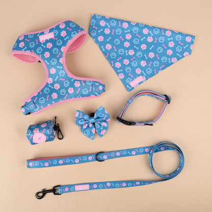 Pawsome paws Blue Pink adjustable neck puppy Harness Bundle